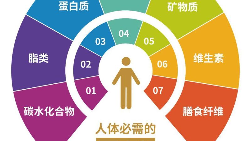 保健食品出口，国家标准规范全解析